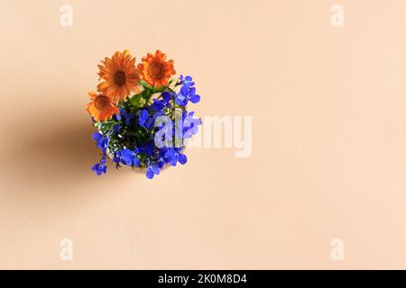 Blaue Blüten aus der Löwenblume und orangefarbene Blüten aus der Ringelblume in einer transparenten Vase auf orangefarbenem Hintergrund. Flach liegend Stockfoto