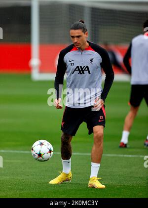 12.. September 2022, AXA Training Center, Kirkby, England: Liverpool FC Training und Pressekonferenz vor dem Champions League Spiel gegen Ajax am 13.. September: Darwin Nunez von Liverpool während der heutigen Trainingseinheit Stockfoto