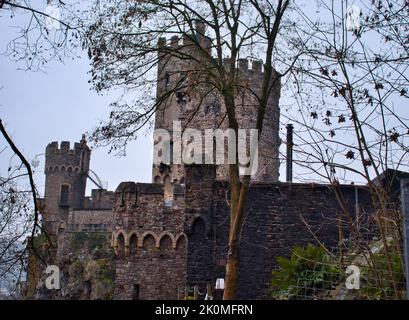 Trechtingshausen, Deutschland - 20. Dezember 2020: Baum vor einem Turm auf Schloss Rheinstein im Oberen Mittelrheintal. Stockfoto