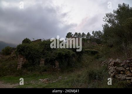 Jinquer, Castellon, Spanien. Häuser in Ruinen eines verlassenen Dorfes in der Mitte der Vegetation.Berg, Gruppe von Häusern. Straßen, Spanischen Bürgerkrieg Stockfoto