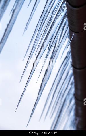 Lange und gefährliche Eiszapfen, die vom Dach des Hauses hängen. Stockfoto