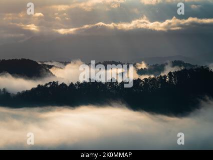 Nebel und Nebel umgeben Baumkronen auf Bergkämmen vom Foothills Parkway, dem Great Smoky Mountains National Park, Blount County, Tennessee Stockfoto