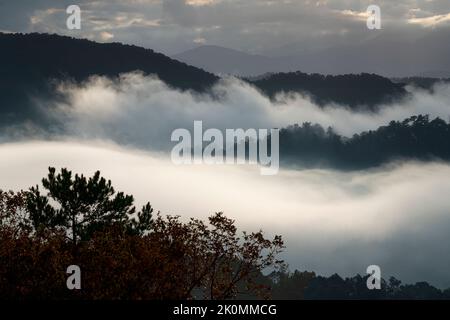 Von Bäumen gesäumte Bergrücken sind von Nebelbänken umgeben, die den Smokys ihren Namen geben, vom Foothills Parkway, dem Great Smoky Mountains National Park Stockfoto