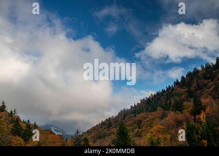 Die Herbstfarbe ist vom Nachmittags-Nebel im oconaluftee-Tal von Mills Overlook, Great Smoky Mountains National Park, County, North Carolina, umgeben Stockfoto