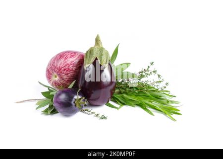 Lila und rosa gestreifte Aubergine, violette Tomaten, würziger Kräutersalbei, Thymian, Estragon auf weißem Hintergrund. Stockfoto