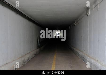 Folgen Sie den Führern Stockfoto
