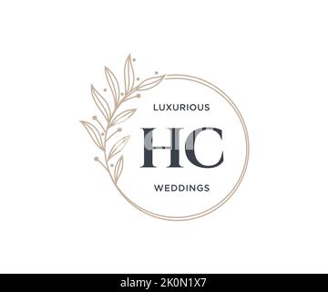 HC Initialen Brief Hochzeit Monogramm Logos Vorlage, handgezeichnete moderne minimalistische und florale Vorlagen für Einladungskarten, Save the Date, elegant Stock Vektor