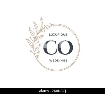 CO Initialen Brief Hochzeit Monogramm Logos Vorlage, handgezeichnete moderne minimalistische und florale Vorlagen für Einladungskarten, Save the Date, elegant Stock Vektor