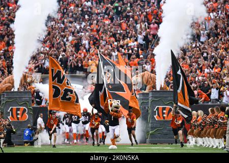 Cincinnati, Ohio, USA. 11. September 2022. 11.. September 2022 Cincinnati Bengals in Cincinnati, OH, im Paycor Stadium. Jake Mysliwczyk/BMR (Bild: © Jake Mysliwczyk/BMR über ZUMA Press Wire) Stockfoto