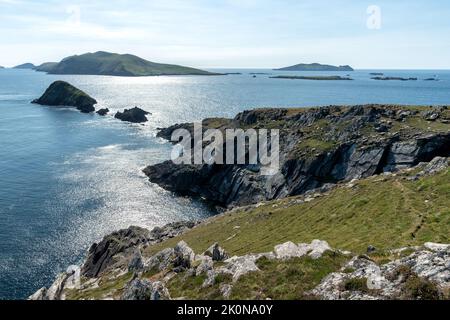 Klare Tagesansicht auf den Blasket Islands von den grünen Klippen von Dunmore Head in der Grafschaft Kerry, Irland Stockfoto