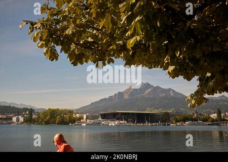 Mann bewundert Berg vom Seeufer in der Schweiz Stockfoto