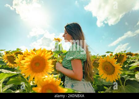 Junges Mädchen riecht eine Sonnenblume in einem Feld von Sonnenblumen Stockfoto