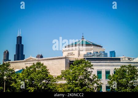 Eine riesige öffentliche Ausstellung von Wassertieren in Chicago, Illinois Stockfoto