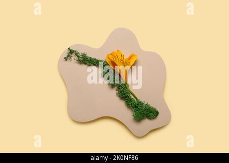 Podium aus Gips mit Blumendekor auf farbigem Hintergrund Stockfoto