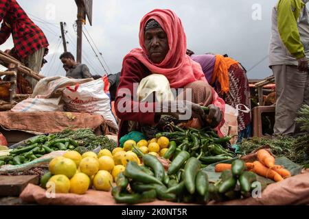 Addis Abeba, Äthiopien. 9. September 2022. Ein Anbieter wird auf dem Shola-Markt in Addis Abeba, Äthiopien, am 9. September 2022 gesehen. Urlaubskäufer in Addis Abeba, Äthiopiens Hauptstadt, beklagten sich über die steigenden Preise für Grundnahrungen, als sie den äthiopischen Neujahrssonntag feiern sollten. Quelle: Michael Tewelde/Xinhua/Alamy Live News Stockfoto