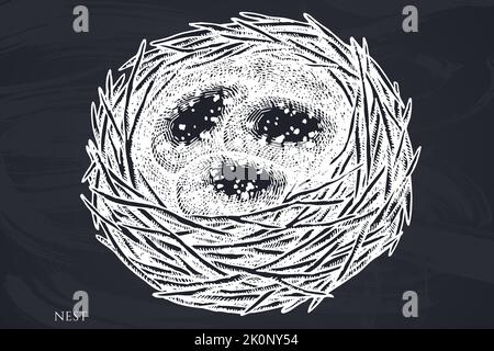 Geheimnisvolle Wald handgezeichnete Vektor-Illustrationen-Kollektion. Kreidehnest. Stock Vektor