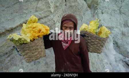 Banyuwangi, Indonesien - 13. Oktober 2019 : Sulphur Miner Aktivität am Ijen Krater in Banyuwangi, Ost-Java, Indonesien. Stockfoto