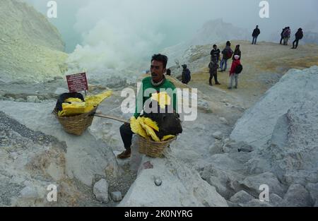 Banyuwangi, Indonesien - 13. Oktober 2019 : Sulphur Miner Aktivität am Ijen Krater in Banyuwangi, Ost-Java, Indonesien. Stockfoto