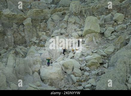 Banyuwangi, Indonesien - 13. Oktober 2019 : Sulphur Miner Aktivität am Ijen Krater in Banyuwangi, Ost-Java, Indonesien. Stockfoto