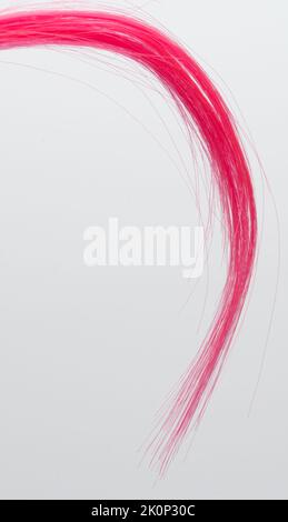 Rosafarbene Haarlocken wirbeln isolierte Makro-Nahaufnahme Stockfoto