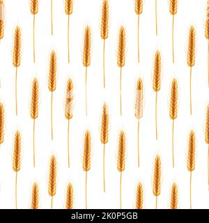 Realistische Darstellung von Saatpflanzen, ökologischer Landbau.Nahtloses Muster von reifen Weizenspikeln mit Körnern, Ohren und Stielen. Stock Vektor