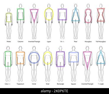 Set von Frauen und Männer Körperformen Typen: apfel, Birne, invertiertes Dreieck, Rechteck, Spalte, Trapez, Kreis, oval, quadratisch, Ziegel, sanduhr, rund, zierlich. Vektor-Illustration für Männer und Frauen Stock Vektor