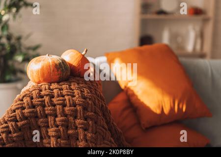 Orangefarbene Kissen und Kürbisse auf einem grauen Sofa Stockfoto