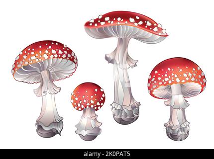 Set aus kunstvoll gezeichneten, giftigen Pilzen mit weiß gesprenkeltem roten Hut auf weißem Hintergrund. Rote Fliege, agarisch. Cottagecore. Mushroomcore. Stock Vektor