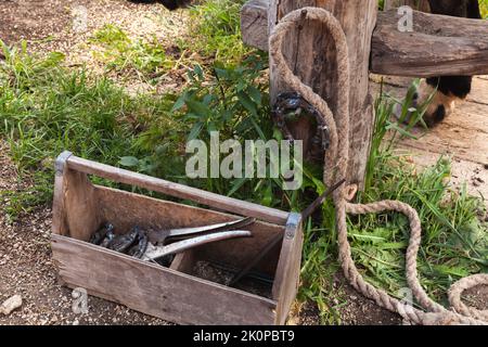 Die Werkzeuge zum Hufengehen befinden sich in einem hölzernen Werkzeugkasten auf einem Bauernhof, Außenfoto Stockfoto