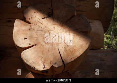 Log einer sibirischen Kiefer als Teil eines Holzhauses in Sibirien Stockfoto