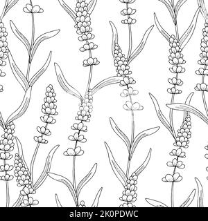Lavendel nahtlose Muster Hintergrund Grafik schwarz weiß Skizze Illustration Vektor Stock Vektor