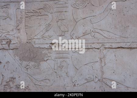 Luxor, Ägypten - 13. November 2020: Altägyptische Malerei an den Wänden nahe der Tür des Totentempels der Hatschepsut Stockfoto