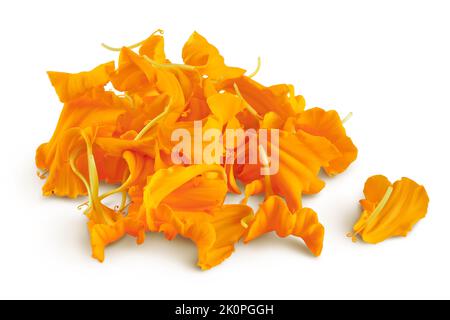 Blütenblätter von frischen Ringelblumen oder Tagetes erecta Blume isoliert auf weißem Hintergrund mit voller Schärfentiefe Stockfoto