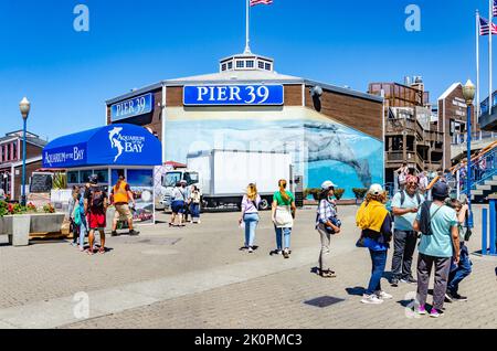 Das Aquarium am Pier 39 in San Francisco, Kalifornien, USA Stockfoto