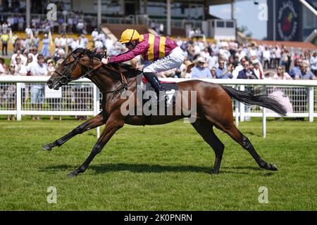 Datei-Foto vom 16-07-2021 von Jack Mitchell, der auf dem Weg zum Gewinn der EBF Novice Stakes bet365 mit Bayside Boy unterwegs ist. Bayside Boy scheint eine sehr gute Gelegenheit bei den Chasemore Farm Fortune Stakes bei Sandown gewesen zu sein. Ausgabedatum: Dienstag, 13. September 2022. Stockfoto