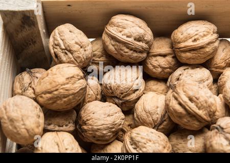 Holzkiste gefüllt mit ganzen Walnüssen, Blick von oben Stockfoto