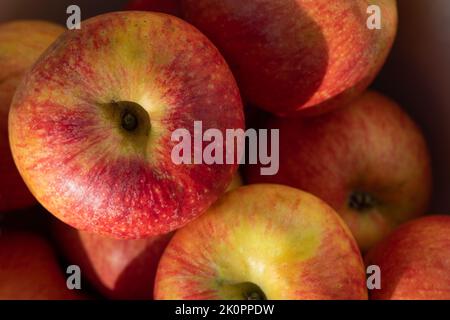 Nahaufnahme und Hintergrund von roten frischen Äpfeln, die übereinander liegen. Stockfoto