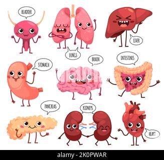 Cartoon niedliche Organe Zeichen. Glücklich gesunde menschliche Organe, lustige Niere, Lunge und Gehirn, Magen mit Gesichtern, Sprechblasen mit Text, Anatomie Stock Vektor