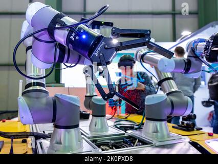 13. September 2022, Sachsen, Leipzig: Dominik Grzelak von der Technischen Universität Dresden präsentiert seine Arbeiten zum sogenannten Sniffbot-Projekt auf dem Robotics Festival in Leipzig. Mit VR-Brille und geeigneten Handschuhen steuert ein Bediener einen Roboter, um Gaslecks zu erkennen. Nach Angaben des Veranstalters bringt das Festival mehr als 400 internationale Entscheidungsträger, Anwender, Wissenschaftler, Investoren und die Top 30 Startups der Robotik zusammen. Ansätze und Anwendungen, die die Arbeitswelt in der Industrie sowie in kleinen und mittleren Unternehmen und im Handwerk prägen, Auto Stockfoto