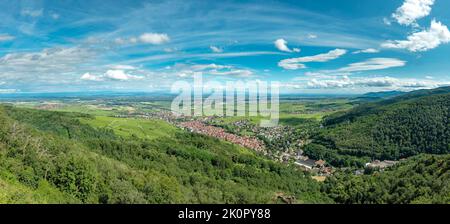 Ein Dorf an den Ausläufern, Parc naturel régional des Ballons des Vosges, Ribeauville, , Frankreich, Landschaft, Feld, Wiese, Bäume, Sommer, Berge, Stockfoto