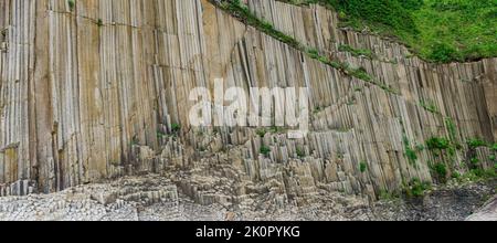 Panorama der Küstenlandschaft der Insel Kunashir bei Kap Stolbchaty mit säulenförmigen Basaltfelsen, die mit Vegetation bedeckt sind Stockfoto