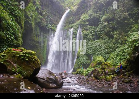 Der Wasserfall Sendang Gile und Tiu Kelep in Lombok, Nusa Tenggara, Indonesien Stockfoto