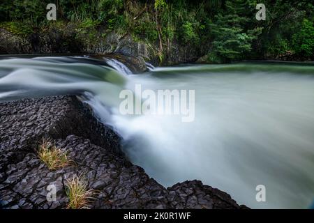 Rapids an der Tully River Gorge, North Queensland Stockfoto