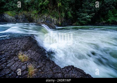 Rapids an der Tully River Gorge, North Queensland Stockfoto