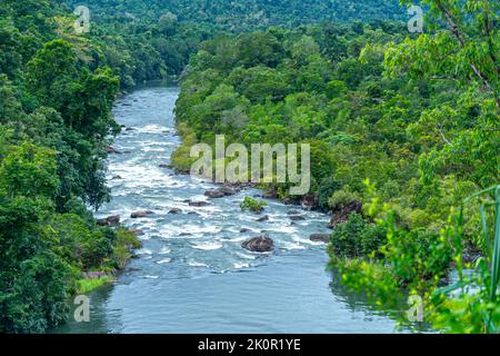 Blick auf die Tully River Gorge vom Frank Roberts Lookout auf der Tully Gorge Road, Tully North Queensland, Australien Stockfoto