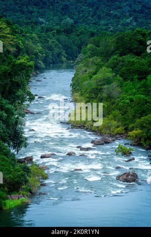 Blick auf die Tully River Gorge vom Frank Roberts Lookout auf der Tully Gorge Road, Tully North Queensland, Australien Stockfoto