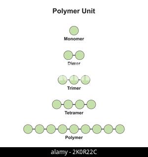 Wissenschaftliche Gestaltung der Polymerisierungsreaktion. Umwandlung von Monomeren in Polymer. Bunte Symbole. Vektorgrafik. Stock Vektor