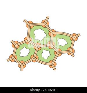 Wissenschaftliche Gestaltung der Collenchyma-Struktur. Das Pflanzengewebe, das aus lebenden länglichen Zellen besteht. Bunte Symbole. Vektorgrafik. Stock Vektor