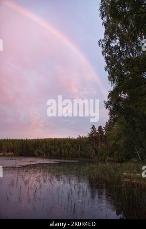 Regenbogen spiegelte sich im See, wenn es regnet. Im Hintergrund Wald, auf dem See Schilf und Seerosen. Naturfotos aus Schweden Stockfoto