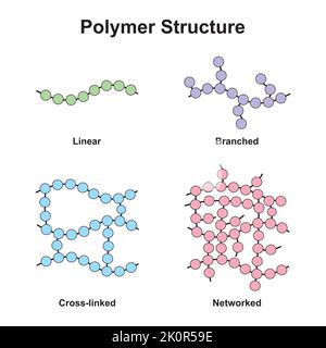 Wissenschaftliches Design der Klassifizierung von Polymerstrukturen. Polymer und seine Typen. Bunte Symbole. Vektorgrafik. Stock Vektor